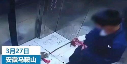 爆料云朵恶行视频,揭秘天空中的惊人真相