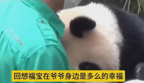 爆料爷爷的视频福宝,揭秘爷爷视频中的神秘传说